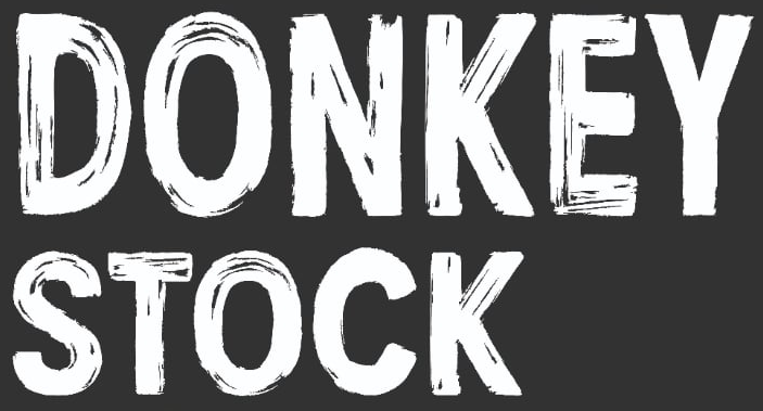 Festival Donkeystock 4ème édition les  29 & 30 Mai  2026